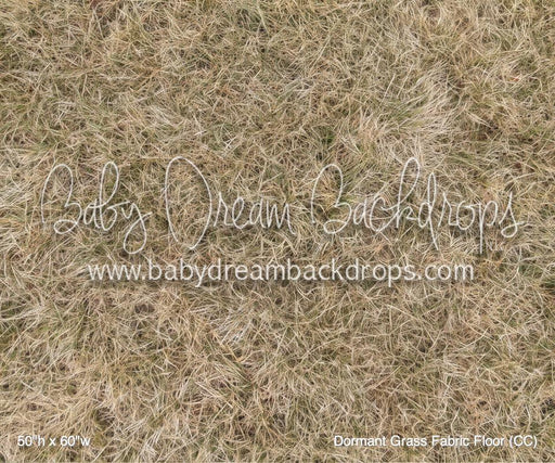 Dormant Grass Fabric Floor (CC)