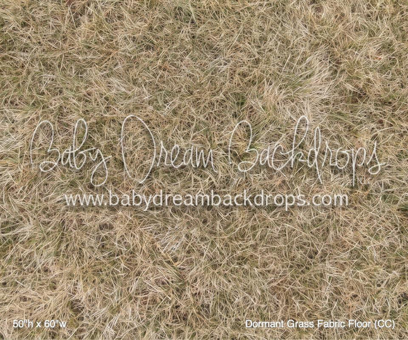 Dormant Grass Fabric Floor (CC)