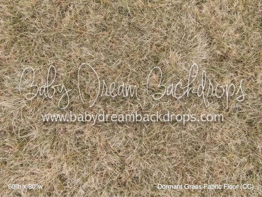 Dormant Grass Fabric Floor (CC)