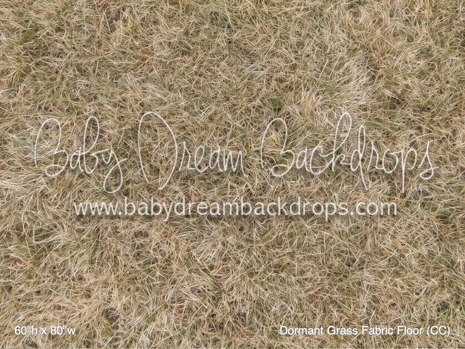 Dormant Grass Fabric Floor (CC)