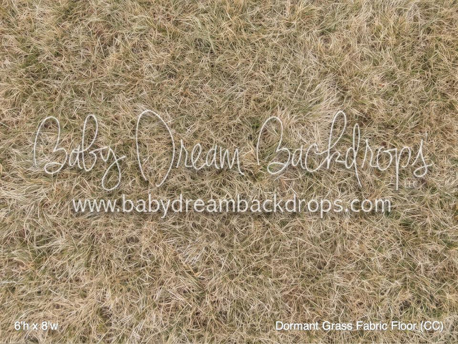 Dormant Grass Fabric Floor (CC)