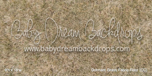 Dormant Grass Fabric Floor (CC)