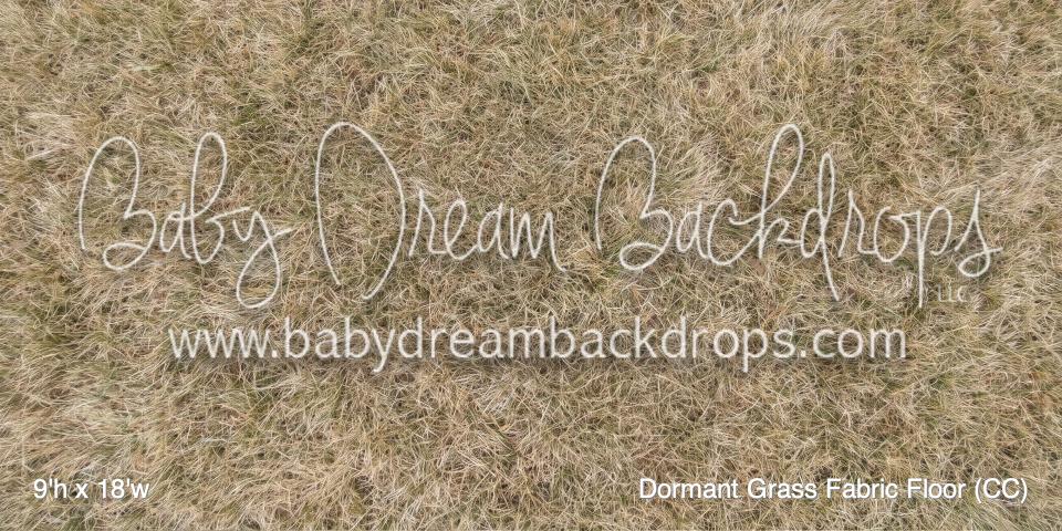 Dormant Grass Fabric Floor (CC)
