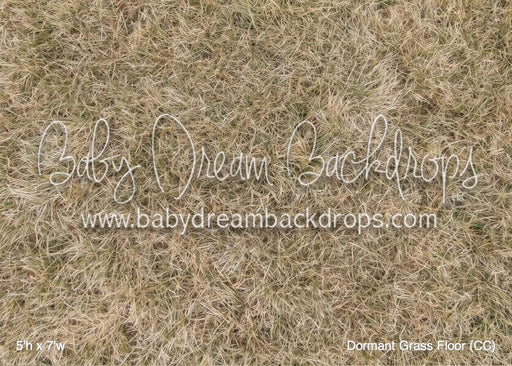 Dormant Grass Fabric Floor (CC)
