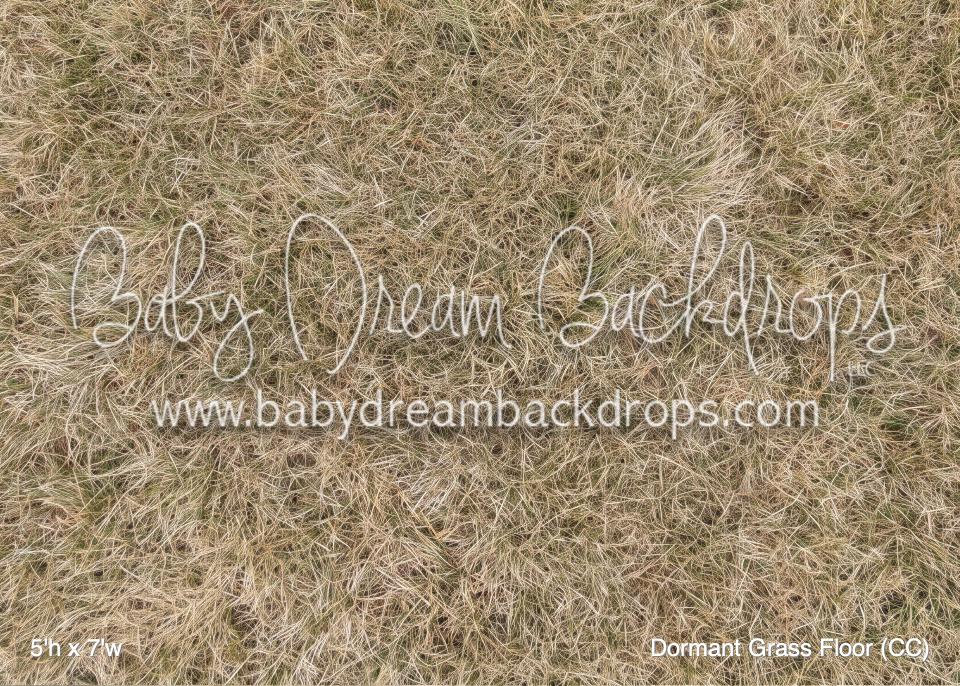 Dormant Grass Fabric Floor (CC)