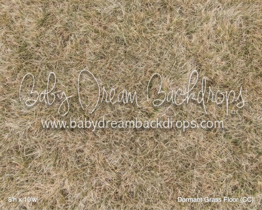 Dormant Grass Floor (CC)