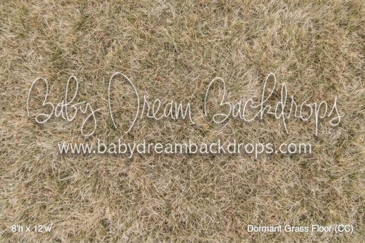 Dormant Grass Floor (CC)