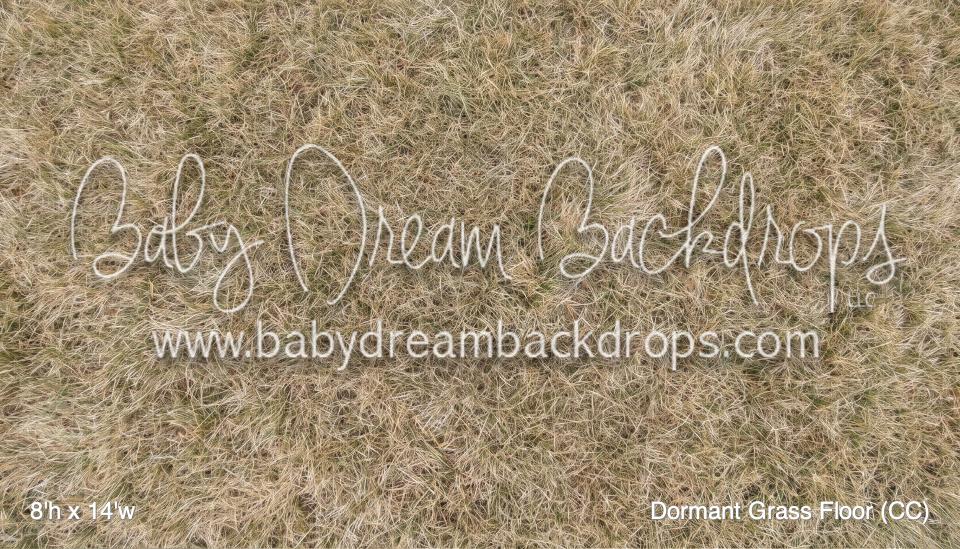 Dormant Grass Fabric Floor (CC)
