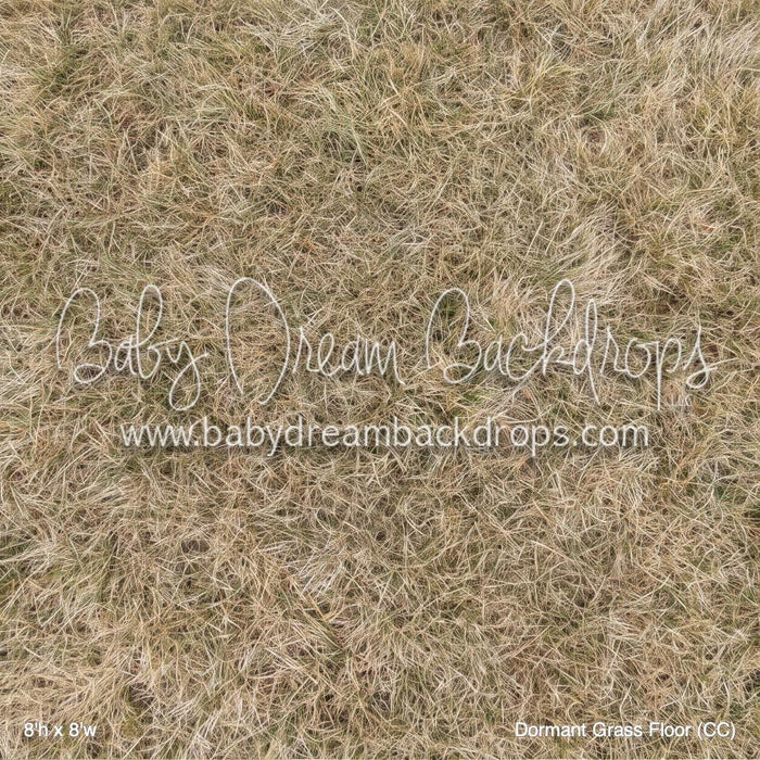 Dormant Grass Fabric Floor (CC)