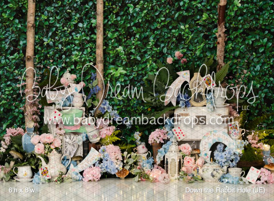 Down the Rabbit Hole (JE)