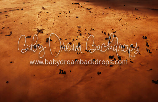 Dragon Kingdom Floor Lightened (MD )