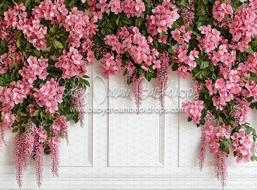 Draped in Blossoms (CC)