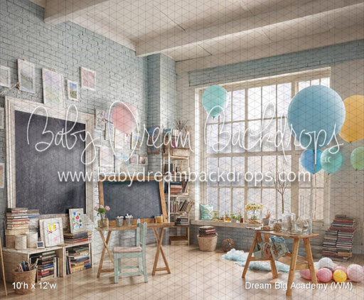 Dream Big Academy (WM)