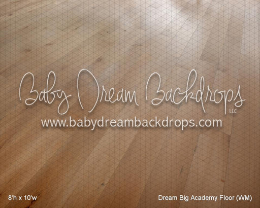 Dream Big Academy Fabric Floor (WM)