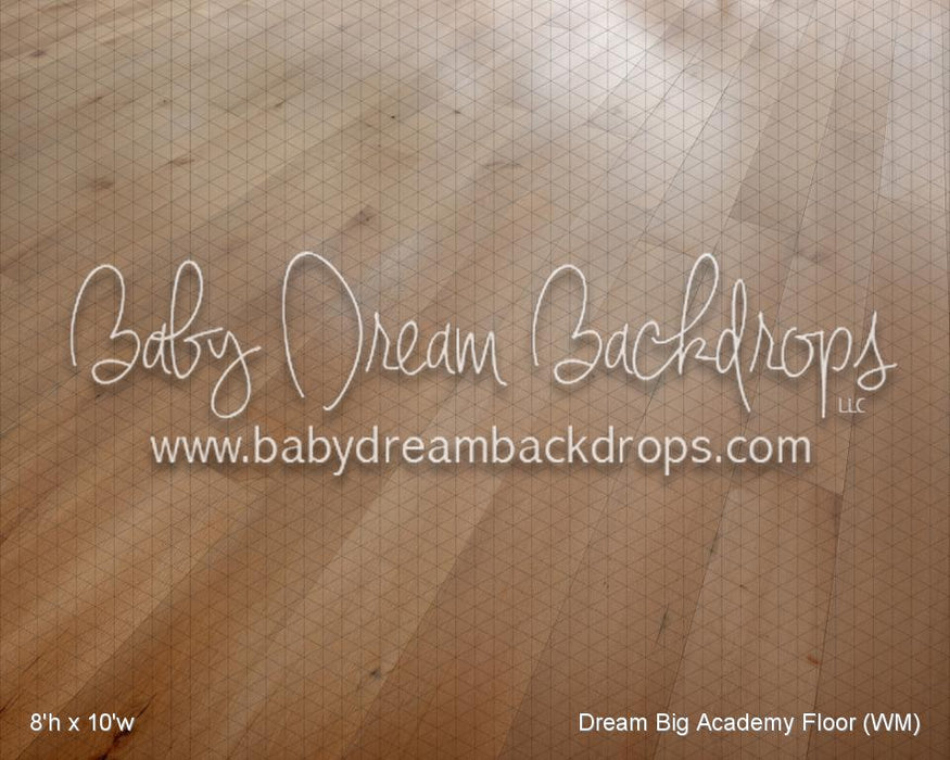 Dream Big Academy Fabric Floor (WM)