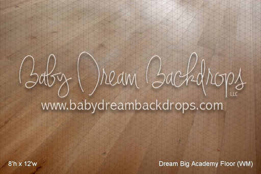 Dream Big Academy Fabric Floor (WM)