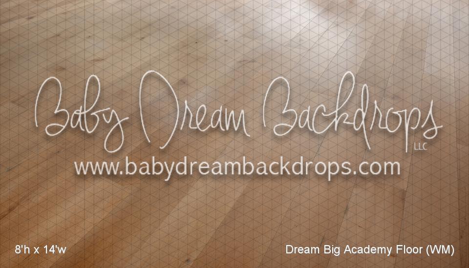 Dream Big Academy Floor (WM)
