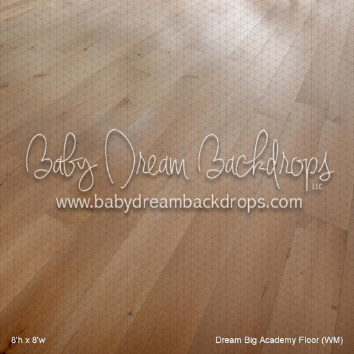Dream Big Academy Fabric Floor (WM)