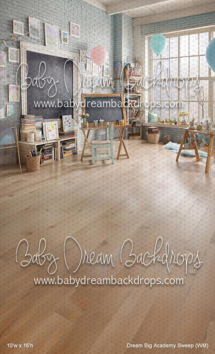 Dream Big Academy Sweep (WM)