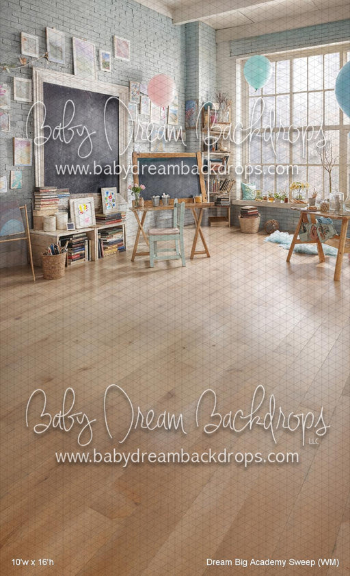 Dream Big Academy Sweep (WM)