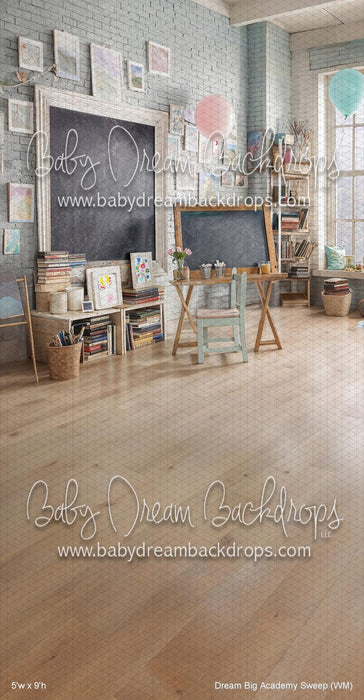 Dream Big Academy Sweep (WM)