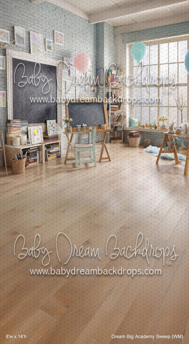 Dream Big Academy Sweep (WM)