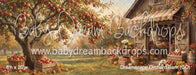 Dreamscape Orchard Barn (CC)