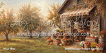 Dreamscape Orchard Barn (CC)