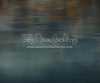 Dreamscape Pond Bottom (CC)