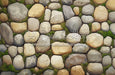 Dreamscape Stepping Stones Floor (CC)