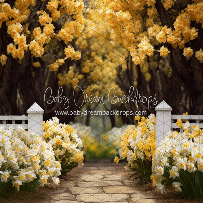 Dreamy Daffodil Stroll (JA)