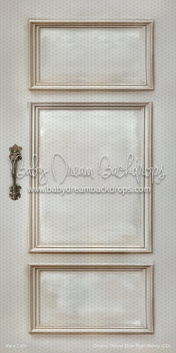 Dreamy Dancer Door Right Skinny (CC)