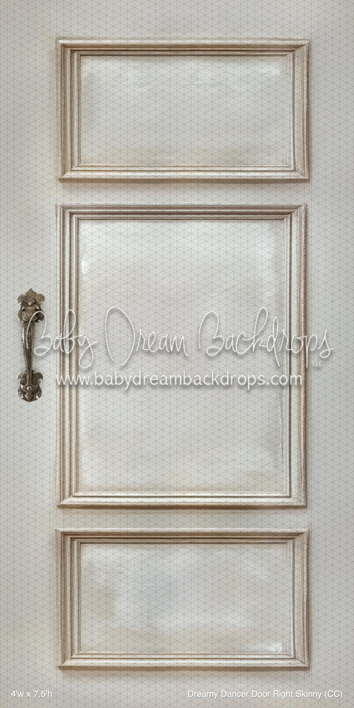 Dreamy Dancer Door Right Skinny (CC)