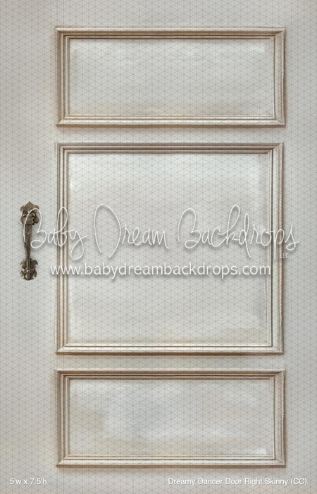 Dreamy Dancer Door Right Skinny (CC)