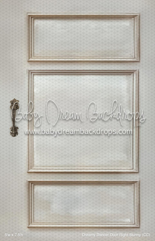 Dreamy Dancer Door Right Skinny (CC)
