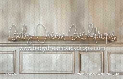 Dreamy Dancer Wall Barre (CC)