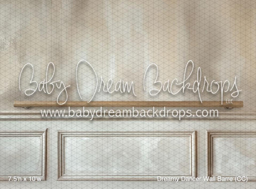 Dreamy Dancer Wall Barre (CC)