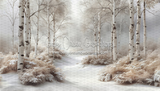 Dreamy Day Birch (CC)