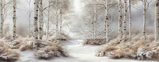 Dreamy Day Birch (CC)