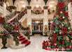 Dreamy Plaza Lobby (CC)