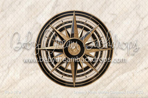 Dreamy Plaza Marble Compass Floor (CC)