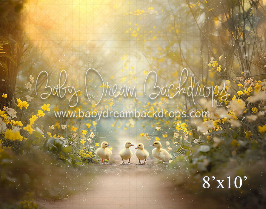 Duck Duck Goose (VR)