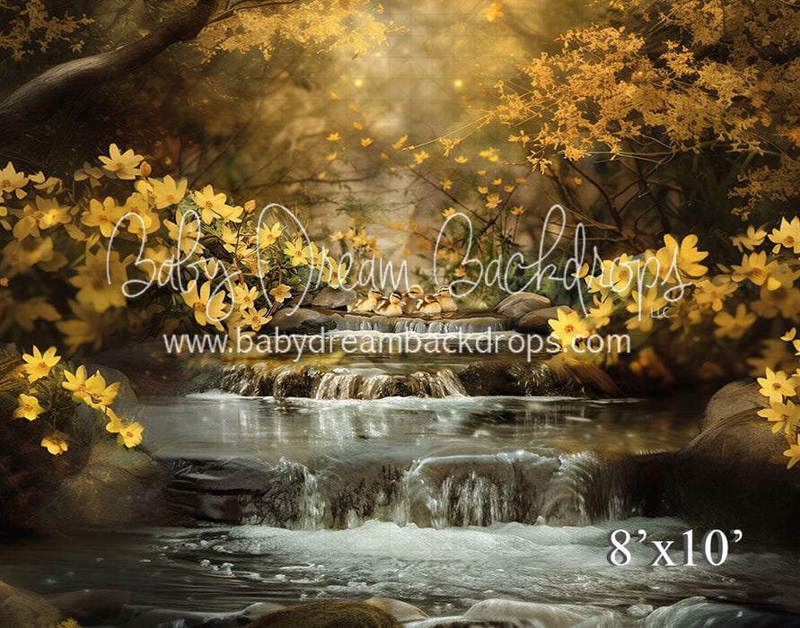 Ducks on the Creek (VR)