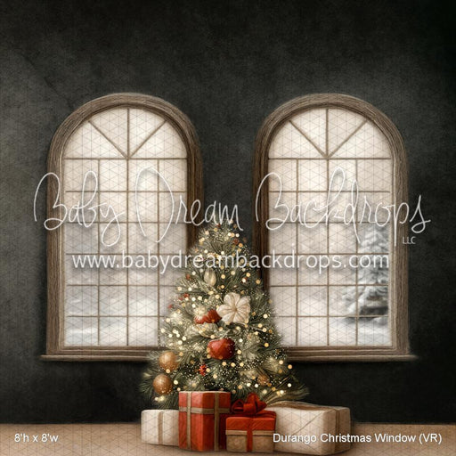 Durango Christmas Window (VR)