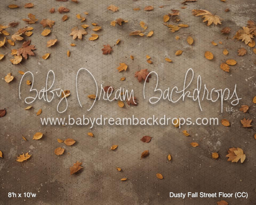 Dusty Fall Street Floor (CC)