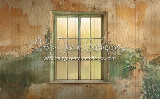 Earth Blend Window (CC)