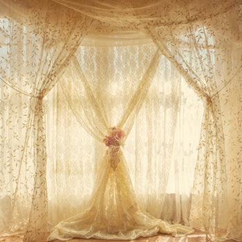 Elegant Vintage Lace