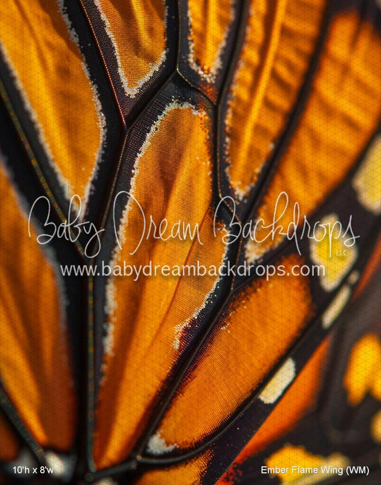 Ember Flame Wing (WM)