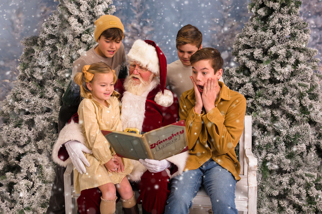 Christmas Trees in Snow with Lights (VR)