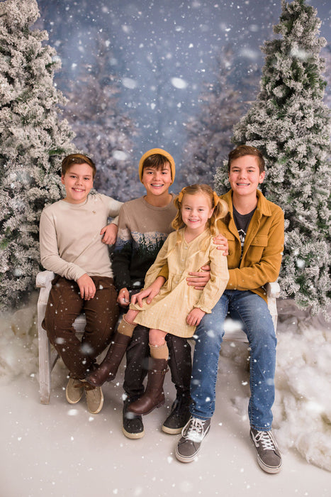 Christmas Trees in Snow with Lights (VR)